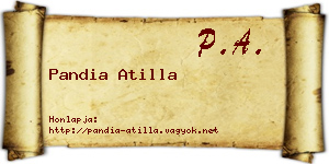 Pandia Atilla névjegykártya